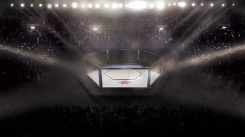 Straight Blast Gym To Open Inchicore Venue Featuring Ireland’s Only Full-Sized MMA Octagon