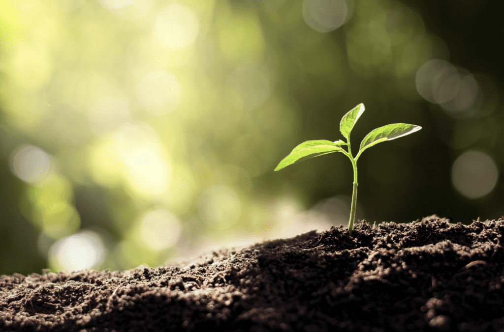 This sustainable living event will help you be more eco-friendly this year