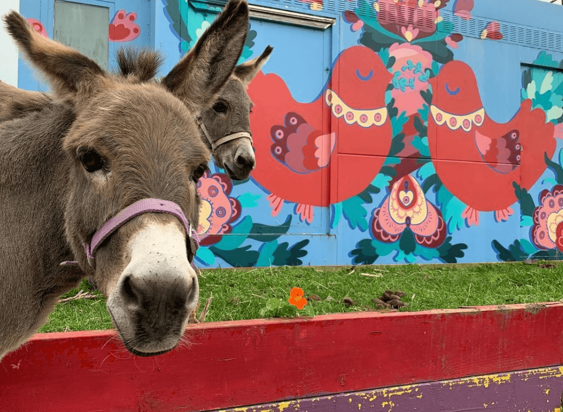10 of the best things to do in Dublin with kids