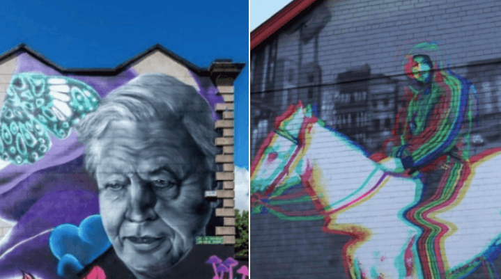 Dublin City Council is taking legal action over the David Attenborough and Horseboy murals