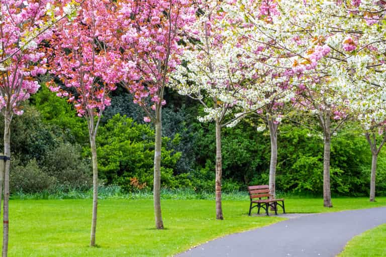 Dubliners asked to provide input on the future of the city’s parks
