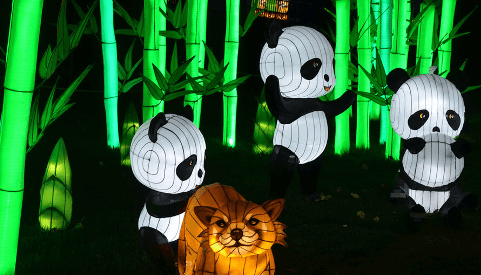 7 ways to celebrate Chinese New Year in Dublin