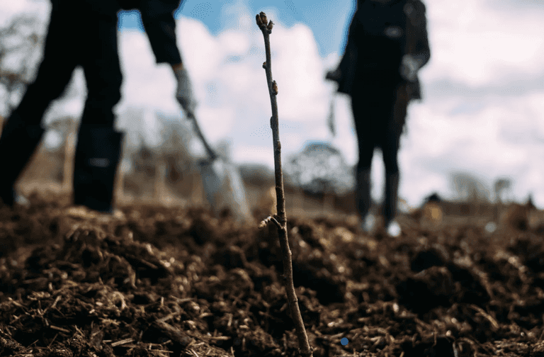 Work has gotten underway on Ireland’s first Tiny Forest in Dublin Work has gotten underway on Ireland’s first Tiny Forest in Dublin