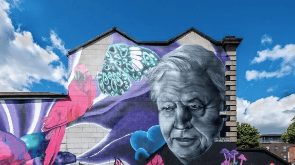 A Petition Has Been Started To Save Subset’s David Attenborough Mural A Petition Has Been Started To Save Subset’s David Attenborough Mural