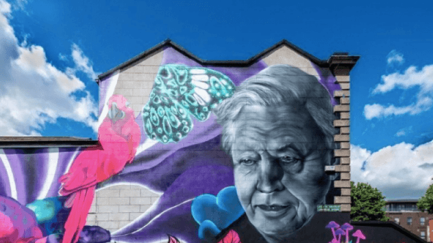 Subset Has Issued A Strong Statement Reacting To The Repeated Removal Of Its Work Subset Has Issued A Strong Statement Reacting To The Repeated Removal Of Its Work