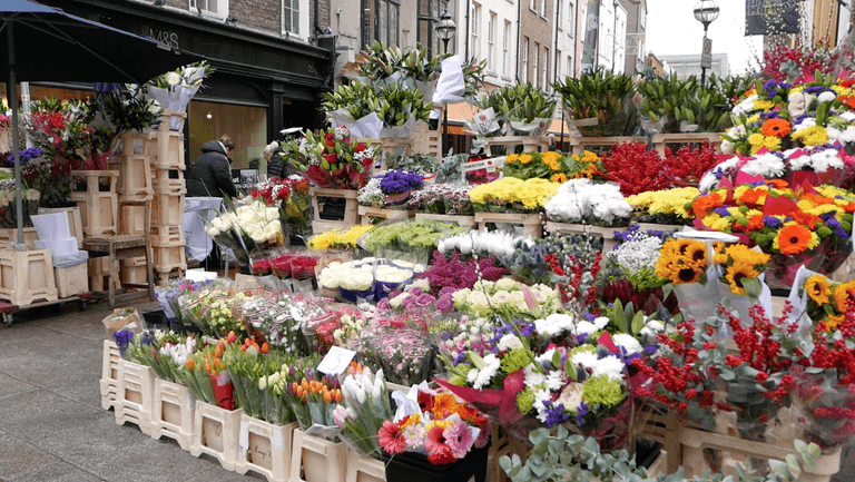 Firm withdraws complaint about Grafton Street traders and apologises to flower sellers Firm withdraws complaint about Grafton Street traders and apologises to flower sellers