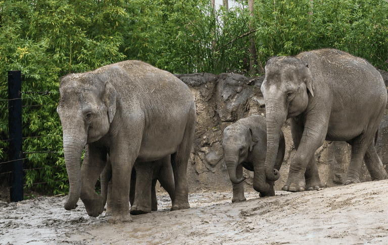 These Dublin Zoo activity books will keep the kids busy for hours These Dublin Zoo activity books will keep the kids busy for hours