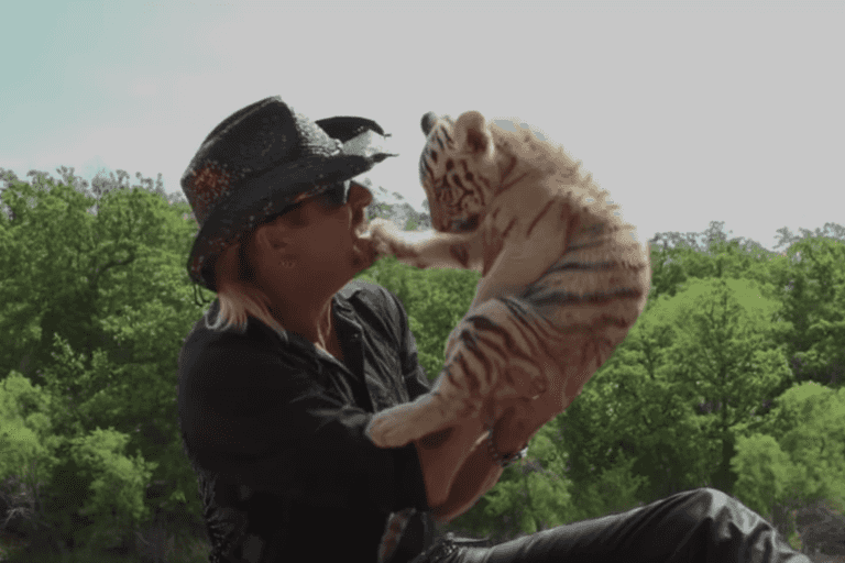 You can take part in Ireland’s biggest Tiger King quiz this weekend You can take part in Ireland’s biggest Tiger King quiz this weekend