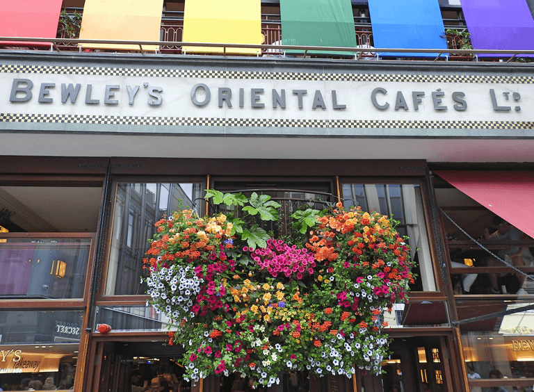 Calls to save Bewley’s iconic stained glass windows ahead of closure Calls to save Bewley’s iconic stained glass windows ahead of closure