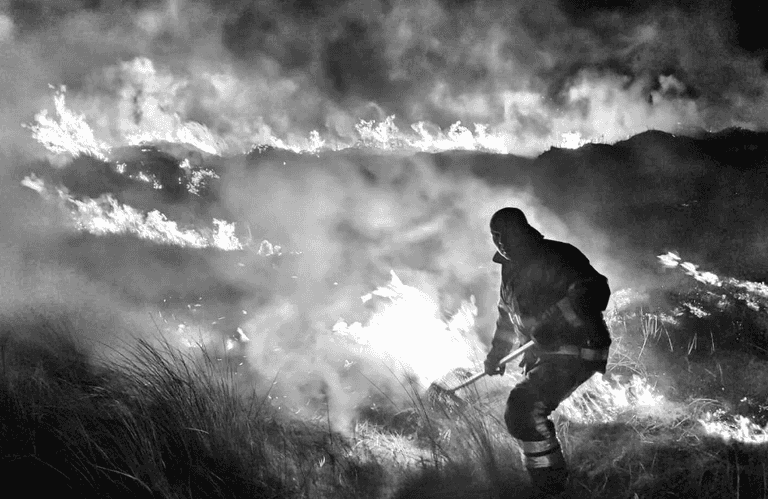 PICS: Firefighters dealt with a large grass fire on Bull Island last night PICS: Firefighters dealt with a large grass fire on Bull Island last night