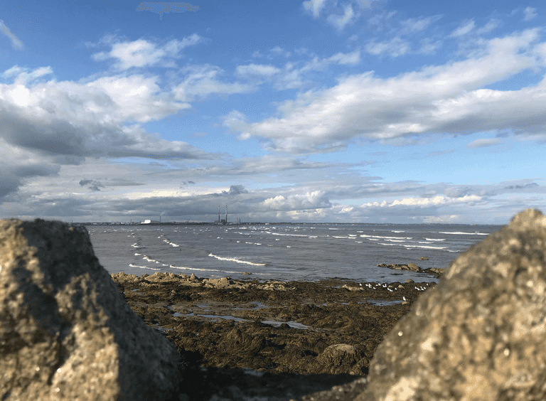 Several more ‘do not swim’ notices issued for Dublin bathing areas Several more ‘do not swim’ notices issued for Dublin bathing areas