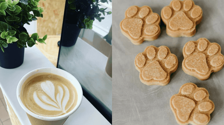 This new dog-friendly Dublin café has free treats for all visiting pup-stomers This new dog-friendly Dublin café has free treats for all visiting pup-stomers