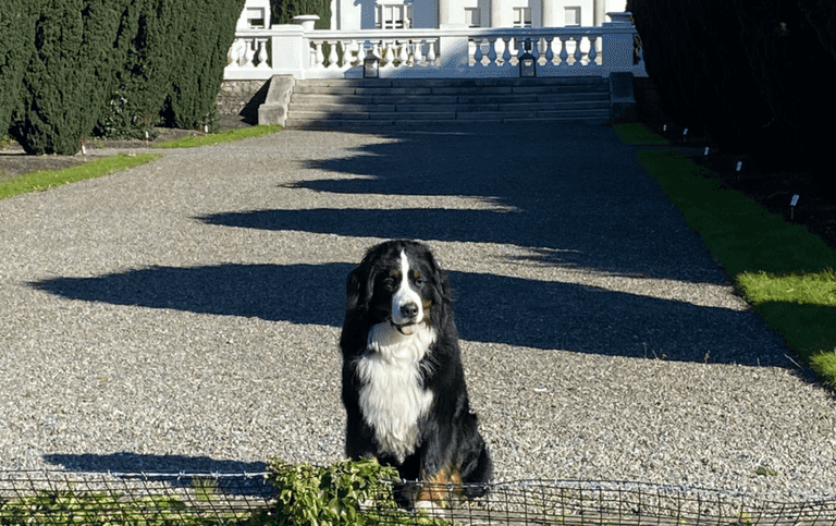 PICS: This photo of Bród without Síoda has sent us right back to heartbreak city again PICS: This photo of Bród without Síoda has sent us right back to heartbreak city again