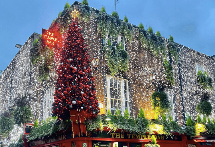 The giant Christmas tree in Temple Bar has already gone up The giant Christmas tree in Temple Bar has already gone up