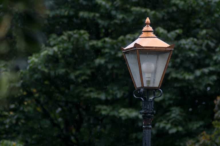 ‘People feel unsafe’ – Petition set up to improve Phoenix Park lighting for evening exercise ‘People feel unsafe’ – Petition set up to improve Phoenix Park lighting for evening exercise