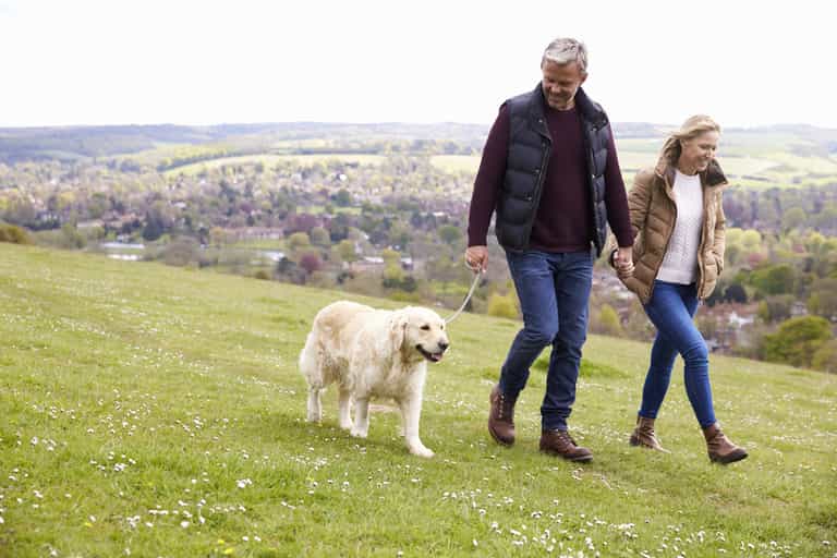 Five facts and myths about cholesterol Five facts and myths about cholesterol