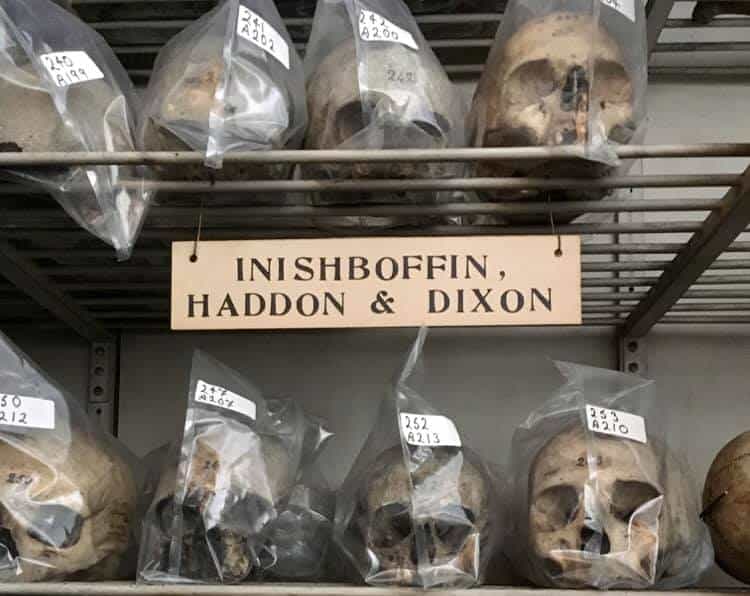 Trinity to return human skulls to Inishbofin and apologise for taking them without consent Trinity to return human skulls to Inishbofin and apologise for taking them without consent