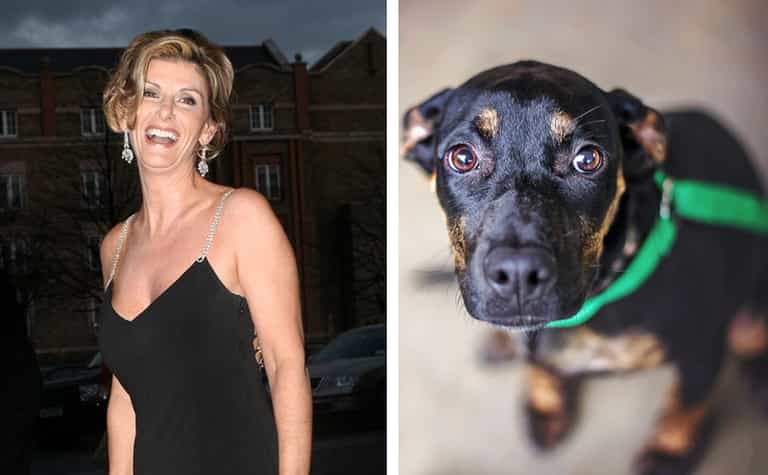 Ian McKellen will open Linda Martin’s new dog shelter in Dublin this month Ian McKellen will open Linda Martin’s new dog shelter in Dublin this month